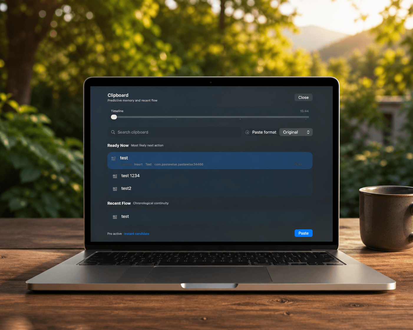 Pastewise Interface Screenshot